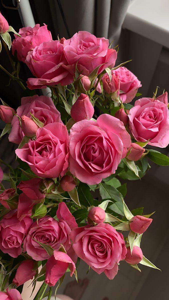 Celestial Blooms Symphony Hand-Tied Bunch